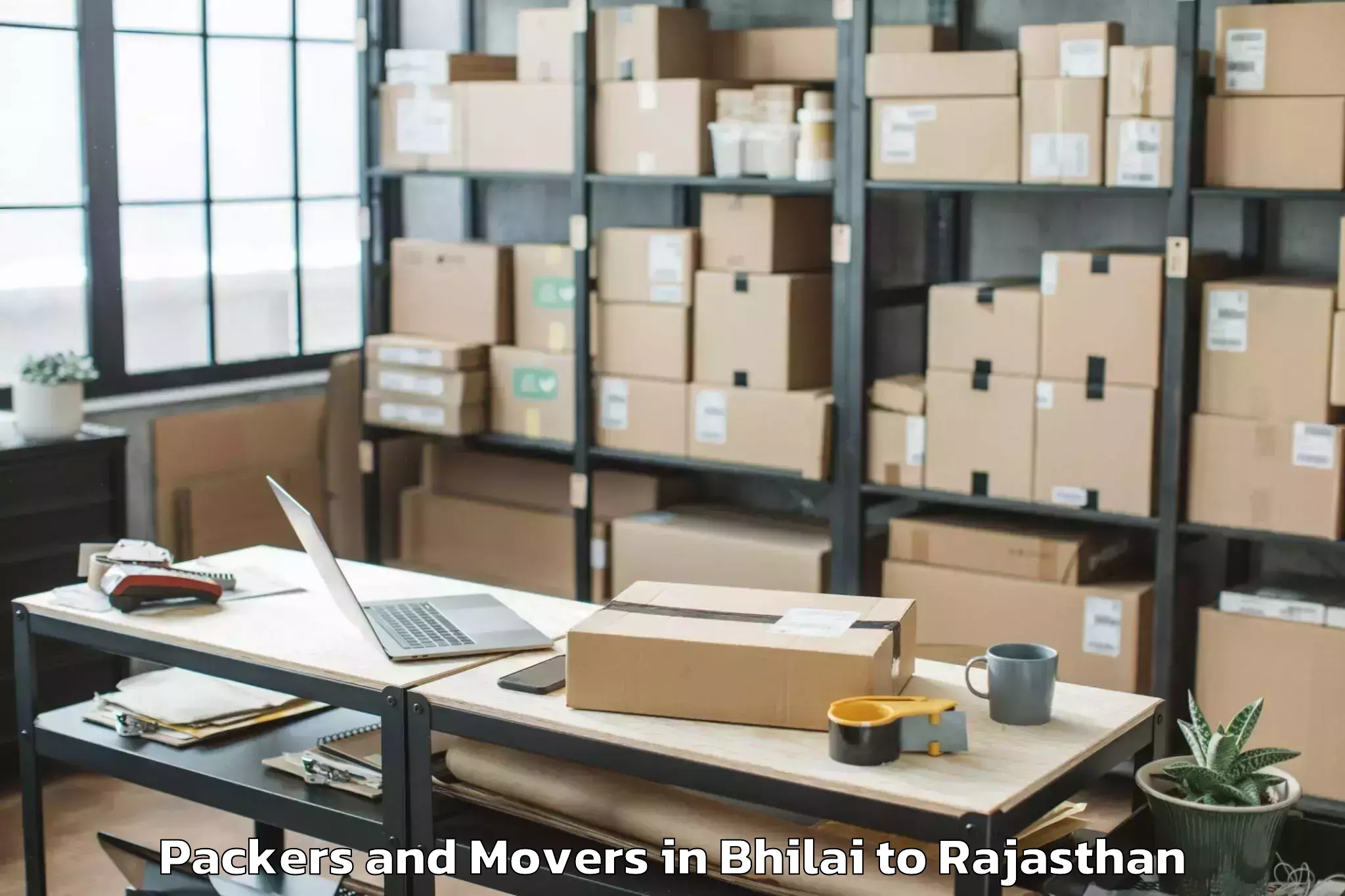 Affordable Bhilai to Bhasawar Packers And Movers